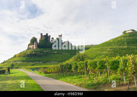 Ortenberg (Baden) : château Schloss Ortenberg, vignobles, Forêt-Noire, Schwarzwald, Baden-Württemberg, Allemagne Banque D'Images