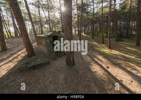 Vieux bunker allemand sur l'île de Terschelling aux Pays-Bas, une partie du mur de l'Atlantique, un plus de 5000 kilomètres de long ligne de défense, qui Banque D'Images