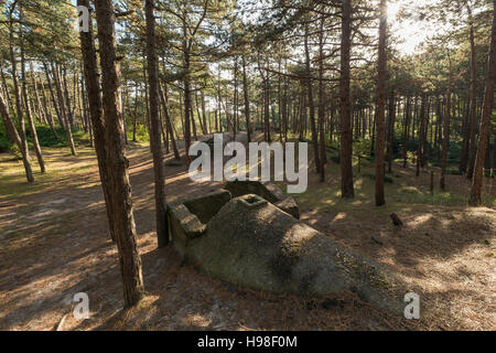 Vieux bunker allemand sur l'île de Terschelling aux Pays-Bas, une partie du mur de l'Atlantique, un plus de 5000 kilomètres de long ligne de défense, qui Banque D'Images