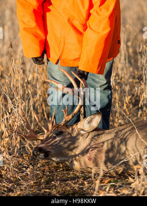 Un chasseur de cerf avec un grand Buck Whitetail Banque D'Images