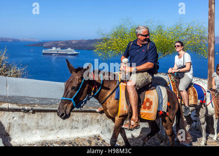 Santorini ânes transportant des touristes sur la route reliant le port à la vieille ville de Thira, l'île grecque, Cyclades, Grèce Banque D'Images