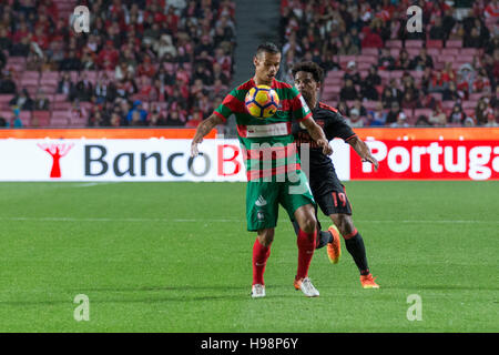 19 novembre, 2016. Lisbonne, Portugal. Le Maritimo avant portugais Edgar Costa (12) et du Benfica défenseur portugais Eliseu (19) en action pendant le jeu SL Benfica vs CS Maritimo Crédit : Alexandre de Sousa/Alamy Live News Banque D'Images