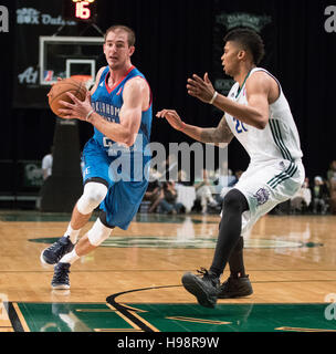 Reno, Nevada, USA. 19 Nov, 2016. Oklahoma City Blue Guard ALEX CARUSO (21) lecteurs contre Reno Bighorn Guard JAMAL (21) au cours de la NBA D-League match de basket-ball entre le Reno Bighorns et l'Oklahoma City Blue à la Reno Events Center à Reno, Nevada. Crédit : Jeff Mulvihill/ZUMA/Alamy Fil Live News Banque D'Images