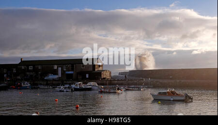 Lyme Regis Dorset, UK. 20 Nov, 2016. Au cours de la pause des ondes mur Cobb à Lyme Regis après les orages de la nuit dernière, le long de la côte sud a soufflé sur ce matin Crédit : Simon Dack/Alamy Live News Banque D'Images