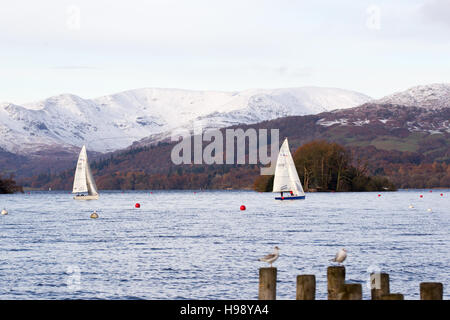 , Cumbria (Royaume-Uni). 20 Nov, 2016. Le Lac Windermere UK la neige sur les collines.& la voile sur le lac . Fairfield Horseshoe en arrière-plan l'Fairfield Horseshoe est la 13e plus haute montagne dans le Lake District à 2864 pieds au-dessus du niveau de la mer. Credit : Gordon Shoosmith/Alamy Live News Banque D'Images