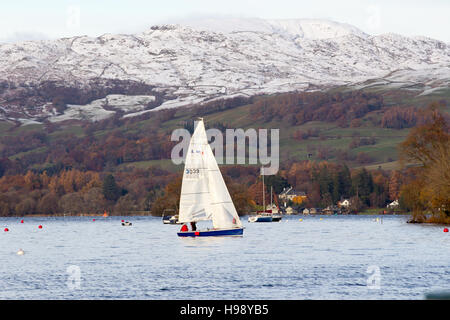 , Cumbria (Royaume-Uni). 20 Nov, 2016. Le Lac Windermere UK la neige sur les collines.& la voile sur le lac . Fairfield Horseshoe en arrière-plan l'Fairfield Horseshoe est la 13e plus haute montagne dans le Lake District à 2864 pieds au-dessus du niveau de la mer. Credit : Gordon Shoosmith/Alamy Live News Banque D'Images