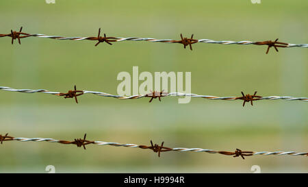 Les barbelés des pics soudains court à partir de la rouille Banque D'Images