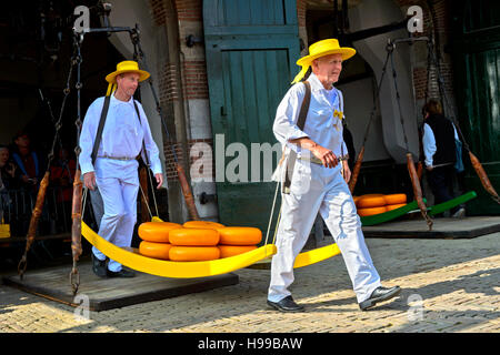 Fromage Fromage guilde porteurs portent sur une brouette de truckles l'échelle pour le marché, marché aux fromages d'Alkmaar, Pays-Bas Banque D'Images