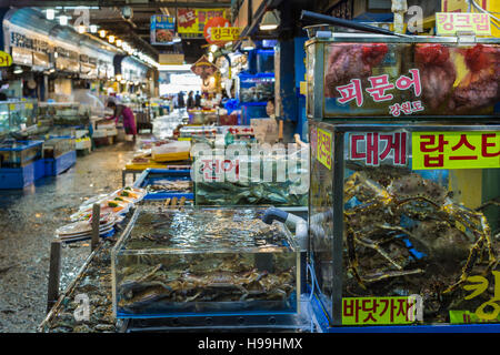 Séoul - le 23 octobre 2016 : Vendeurs de poissons à Garak Market à Séoul, Corée du Sud Banque D'Images