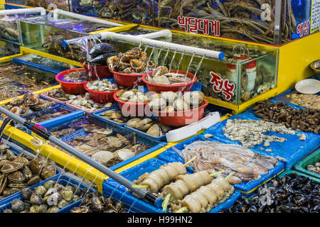 Séoul - le 23 octobre 2016 : Vendeurs de poissons à Garak Market à Séoul, Corée du Sud Banque D'Images