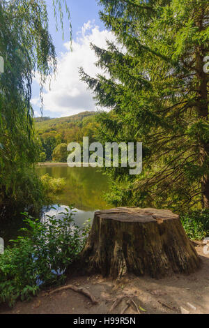 La vallée Szalajka, près de Szilvásvárad, Bukk hills, Hongrie Banque D'Images