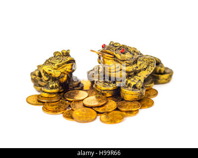 Les grenouilles de l'argent chinois isolated on White Banque D'Images