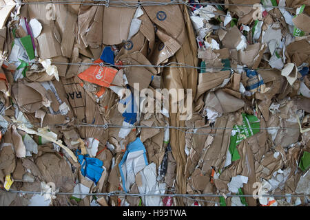 Des piles de carton utilisé prêt pour le recyclage dans une usine. Banque D'Images