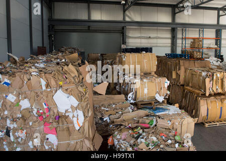 Des piles de carton utilisé prêt pour le recyclage dans une usine. Banque D'Images