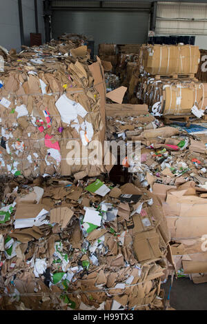 Des piles de carton utilisé prêt pour le recyclage dans une usine. Banque D'Images