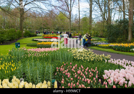 LISSE, Pays-Bas - 17 avril 2016 : pas de touristes appréciant les belles tulipes en fleurs dans les célèbres jardins de Keukenhof Banque D'Images