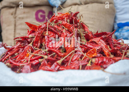 Piments séchés dans un sac, à l'extérieur d'une boutique, Madurai, Inde Banque D'Images