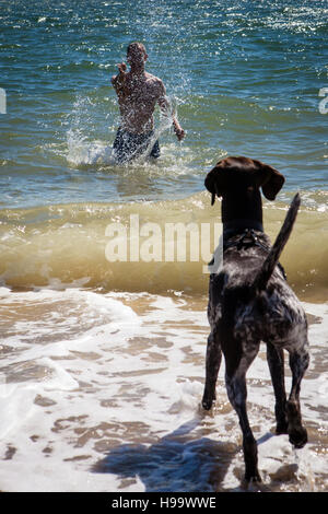 L'homme jouant avec un chien dans la mer Banque D'Images