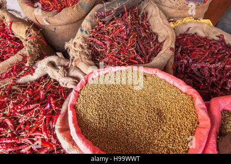 Variété d'épices en vente, principalement le rouge piments séchés, dans un magasin à Jaipur, Inde Banque D'Images