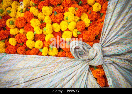 Fleurs en vente sur un marché, de l'Inde Banque D'Images