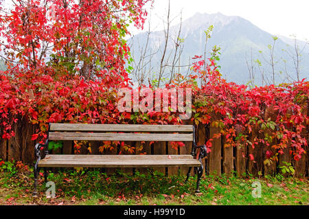 Audience à Castello di Taufers entouré de feuillage de l'automne avec les Alpes de Zillertal dans l'arrière-plan, Campo Tures, Italie Banque D'Images