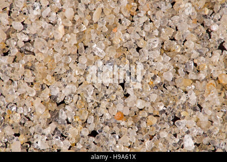 Le sable de l'île de Föhr Allemagne, macro-vision montrant la structure du grain général Banque D'Images
