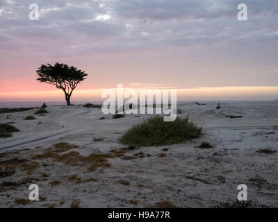 17 mile drive, California coast line au coucher du soleil. Banque D'Images