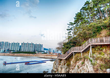 Coup de Busan une passerelle à Dadaepo beach en Corée du Sud Banque D'Images