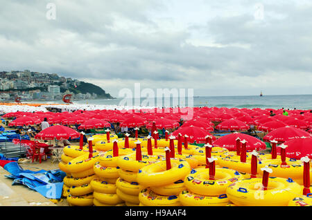 Busan, Corée du Sud - 6 août 2011 : Haueundae beach plein de parapluies durant la haute saison c'est comme une tempête. Banque D'Images