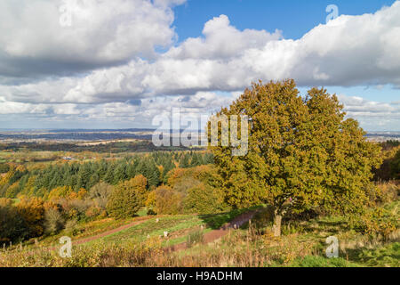 Au cours de l'automne Clément Hills Country Park (National Trust), Worcestershire, Angleterre, RU Banque D'Images