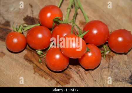 Les tomates lavées et fraîchement cueillies Banque D'Images