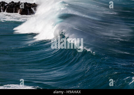 Les grandes vagues de l'océan sur la côte nord d'Oahu Hawaii à Waimea Bay Banque D'Images