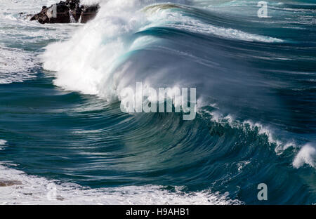 Les grandes vagues de l'océan sur la côte nord d'Oahu Hawaii à Waimea Bay Banque D'Images