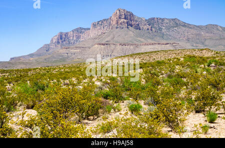 Guadalupe Mountains National Park Banque D'Images