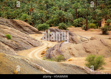 Route de gravier ondulé à travers la vallée du Draa, Maroc Banque D'Images