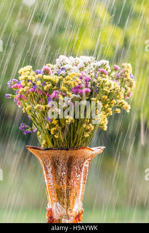 Un bouquet de fleurs et une pluie d'été Banque D'Images