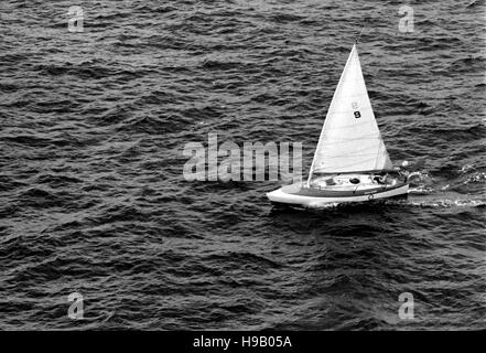 AJAXNETPHOTO. Juin 7th, 1980. PLYMOUTH, en Angleterre. - 1980 OSTAR - course en solitaire - Dream weaver (USA) / SKIPPER : JAMES KYLE (USA) PHOTO:JONATHAN EASTLAND/AJAX REF;800606 5 Banque D'Images