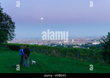 Wien, Vienne : La vue de Wilhelminenberg sur les vignobles du centre-ville, 00, Wien, Autriche. Banque D'Images