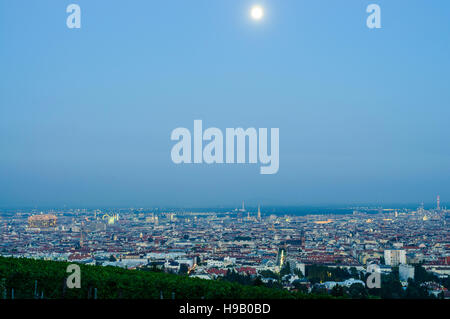 Wien, Vienne : La vue de Wilhelminenberg sur les vignobles du centre-ville, 00, Wien, Autriche. Banque D'Images