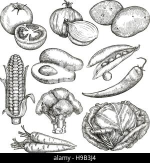 Les légumes, croquis, dessin à la main, vector set Illustration de Vecteur