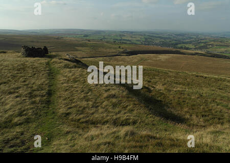 Moutons par cairn circulaire, west end Nab Hill moor haut, à au nord de la vallée d'une valeur, l'Pennines, au nord de Halifax, West Yorkshire, Royaume-Uni Banque D'Images