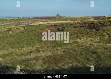 Télévision Nab Hill moortop avec cairns et rouge-orange Oseille des brebis, à l'Est, vers Bradford, South Pennines au nord de Halifax, West Yorkshire, Royaume-Uni Banque D'Images