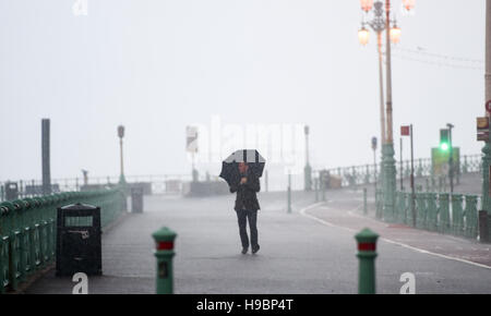 Brighton, Sussex, UK. 22 Nov, 2016. Un homme batailles contre le vent et la pluie le long de front de mer de Brighton à la fin de tempête souffle Angus lui-même tout au long de la Grande-Bretagne Crédit : Simon Dack/Alamy Live News Banque D'Images