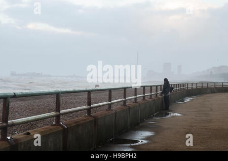 Brighton, Angleterre, Royaume-Uni. 22 Nov, 2016. Brighton, East Sussex. 22 novembre 2016. Météo britannique. Des vents violents, une mer difficile et de fortes averses sont battues au sud de la Grande-Bretagne à Brighton coût suite orage Angus. Au sud de vent côtières étaient prévues tout au long de la journée, et autour de 40 avertissements d'inondations sont en place dans tout le pays. Credit : Francesca Moore/Alamy Live News Banque D'Images