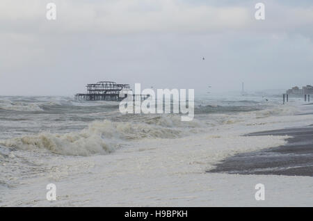 Brighton, Angleterre, Royaume-Uni. 22 Nov, 2016. Brighton, East Sussex. 22 novembre 2016. Météo britannique. Des vents violents, une mer difficile et de fortes averses sont battues au sud de la Grande-Bretagne à Brighton coût suite orage Angus. Au sud de vent côtières étaient prévues tout au long de la journée, et autour de 40 avertissements d'inondations sont en place dans tout le pays. Credit : Francesca Moore/Alamy Live News Banque D'Images