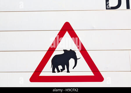 Blur en afrique du sud de près de l'elephant signer comme texture background Banque D'Images