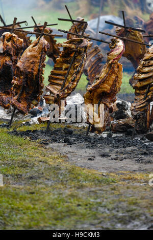 San Antonio de Areco, Argentine. 13 Nov 2016 : un plat d'Amérique du Sud traditionnel asado (grille, barbecue) à San Antonio de Areco Banque D'Images