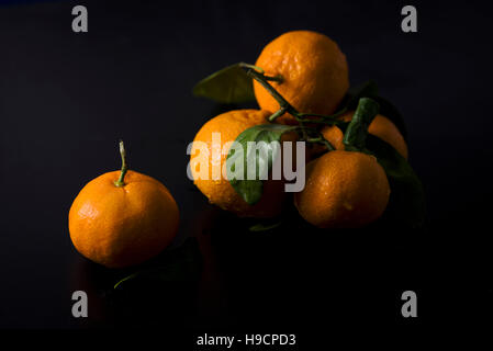 Mandarines still life image sur un fond noir. Banque D'Images