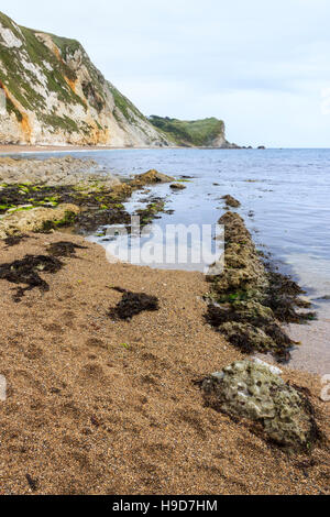 Sur la mer de Man o' War Cove, st oswald's Bay, Dorset, England, UK Banque D'Images