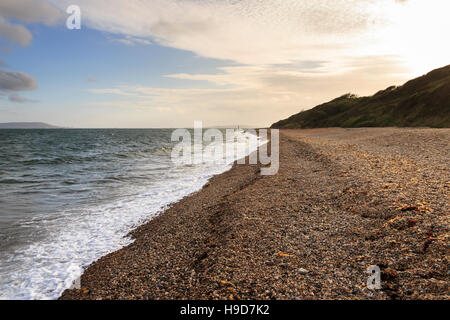 Soirée sur la plage de galets à Ringstead Bay, Dorset, England, UK Banque D'Images